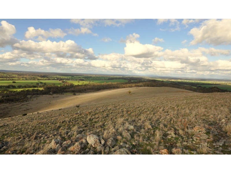 607 Timor-Mount Hooghly Rd, Dunolly VIC 3472