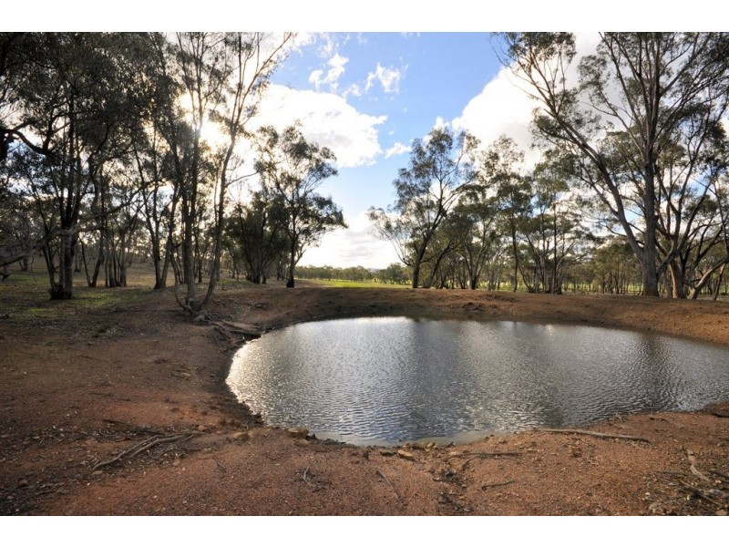 607 Timor-Mount Hooghly Rd, Dunolly VIC 3472