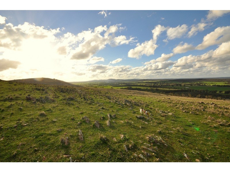 607 Timor-Mount Hooghly Rd, Dunolly VIC 3472