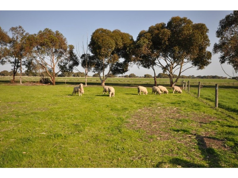 106 Dalys Road, Rokewood VIC 3330