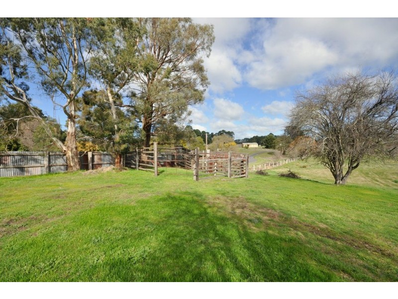 97 Sussex St, Linton VIC 3360