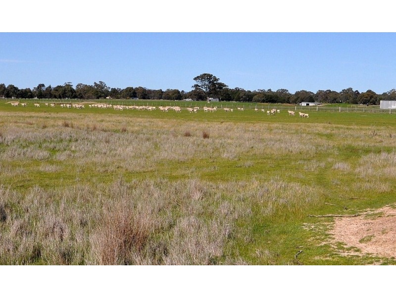 125 Fairview Drive, Clunes VIC 3370