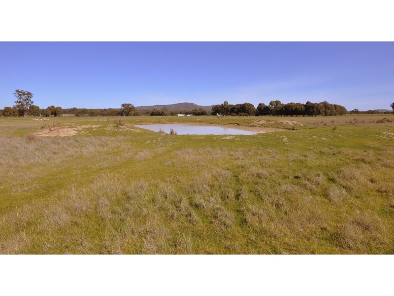 125 Fairview Drive, Clunes VIC 3370