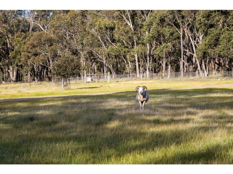132 Rifle Butts Road, Beaufort VIC 3373