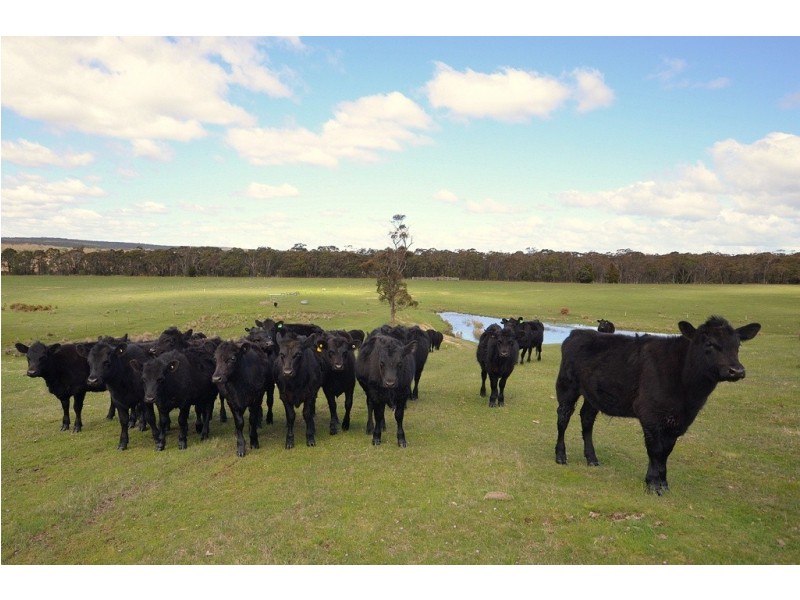 Lot 2 Junipers Rd, Haddon VIC 3351