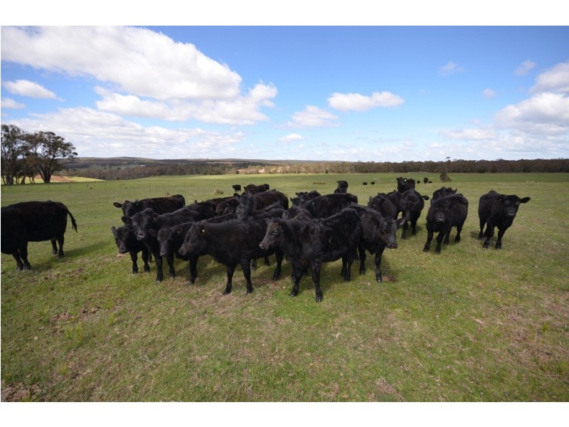 Lot 2 Junipers Rd, Haddon VIC 3351