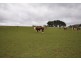Lot 2 Boundary Church Rd, Clarkes Hill VIC 3352