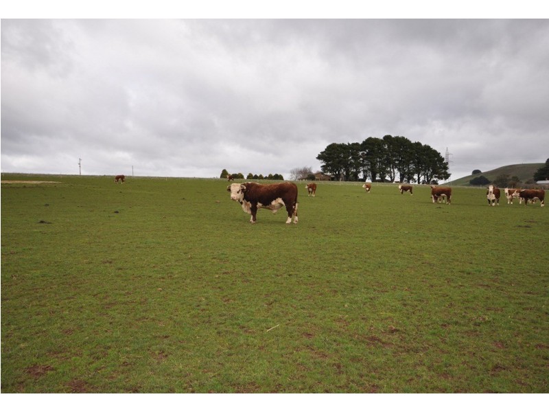 Lot 2 Boundary Church Rd, Clarkes Hill VIC 3352