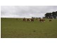 Lot 2 Boundary Church Rd, Clarkes Hill VIC 3352