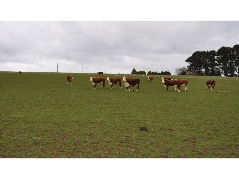 Lot 2 Boundary Church Rd, Clarkes Hill VIC 3352