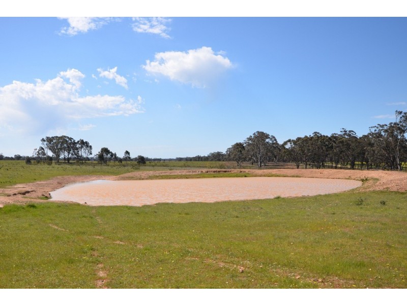 28B Three Chain Rd, Natte Yallock VIC 3465