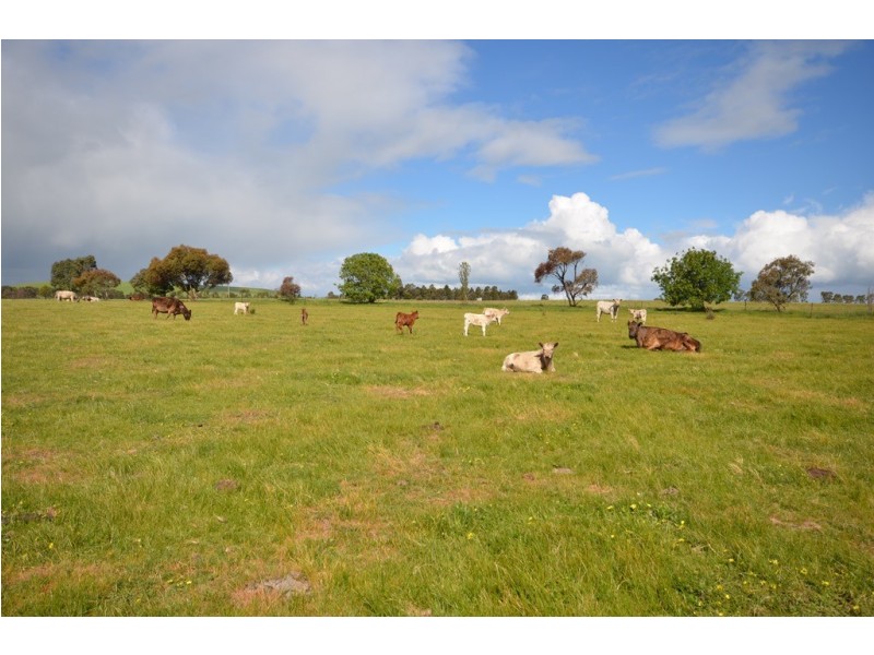 295 Foleys Rd, Clunes VIC 3370