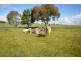 295 Foleys Rd, Clunes VIC 3370
