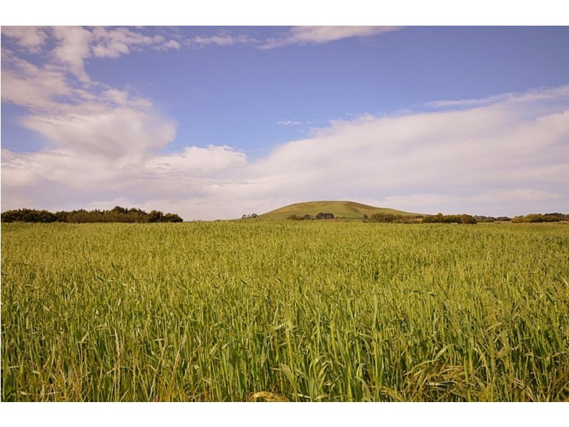 Springmount VIC 3364