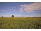 Springmount VIC 3364