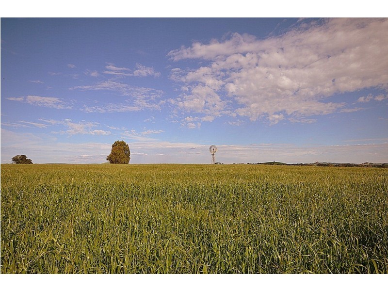 Springmount VIC 3364