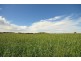 Springmount VIC 3364