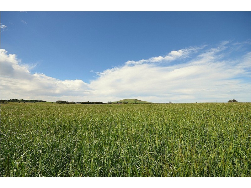 Springmount VIC 3364