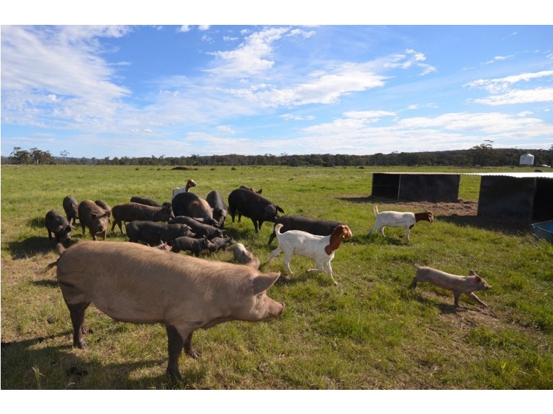 Springmount VIC 3364