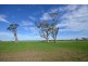 Springmount VIC 3364