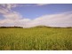 Springmount VIC 3364