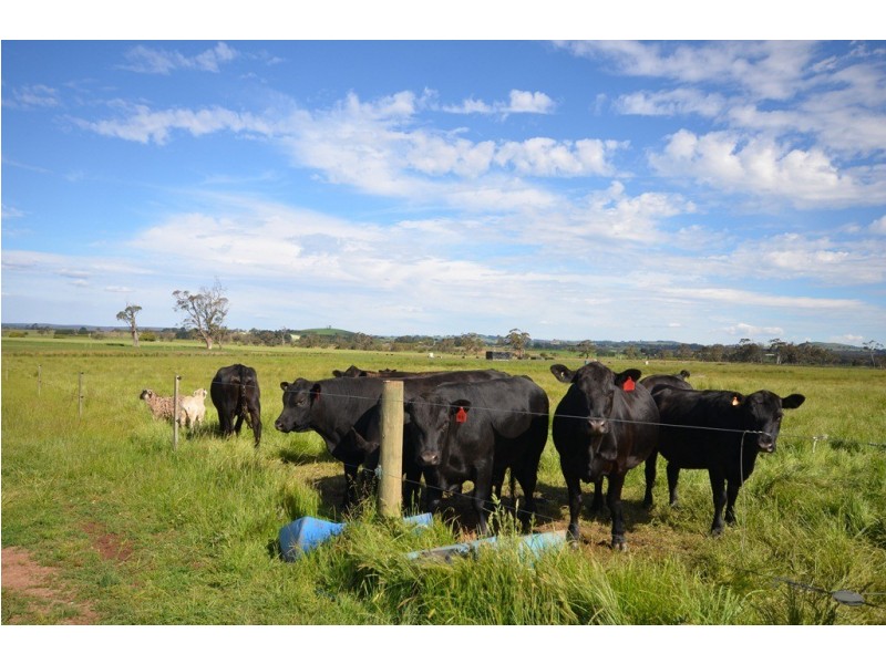 Springmount VIC 3364