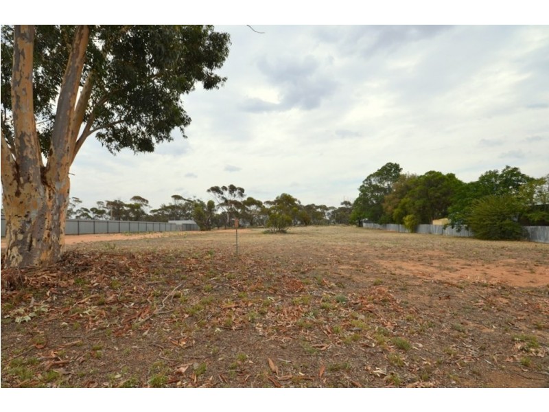 3-5 Tyrrell Street, Nandaly VIC 3533