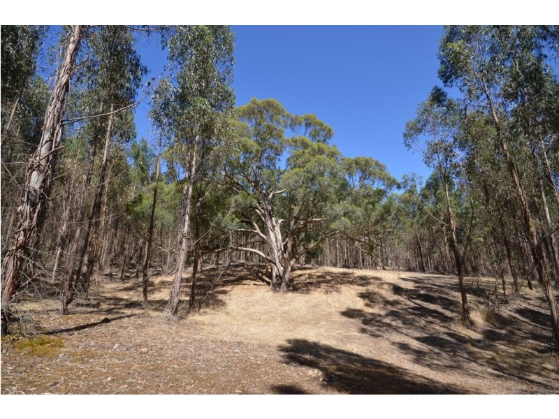 Dreamers Hill Road, Linton VIC 3360