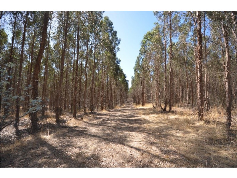 Dreamers Hill Road, Linton VIC 3360