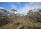 99 Smiths Road, Bealiba VIC 3475
