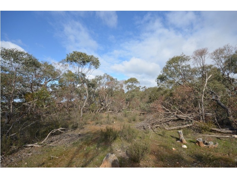 99 Smiths Road, Bealiba VIC 3475