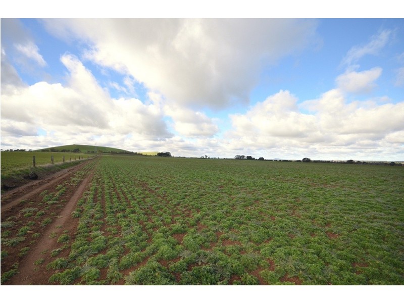 277 Grills Road, Blowhard VIC 3352