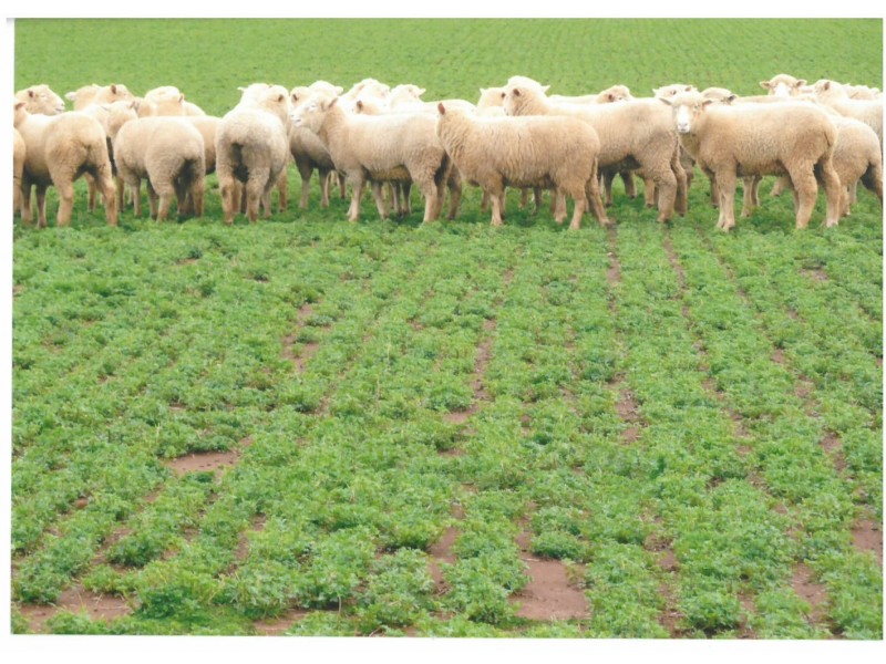 277 Grills Road, Blowhard VIC 3352