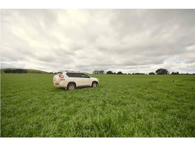 277 Grills Road, Blowhard VIC 3352