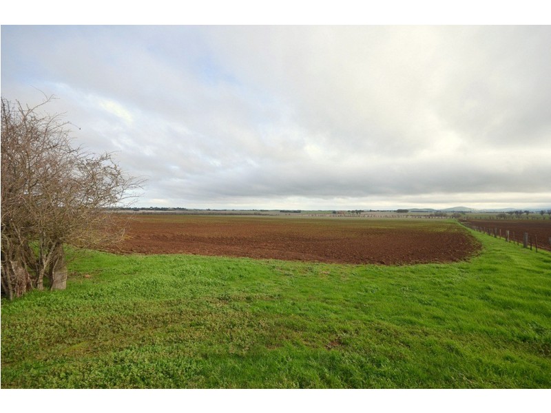 277 Grills Road, Blowhard VIC 3352