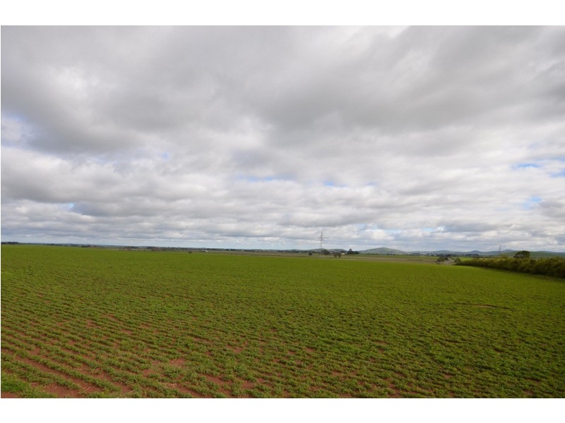 277 Grills Road, Blowhard VIC 3352