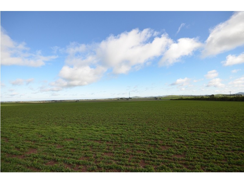 277 Grills Road, Blowhard VIC 3352