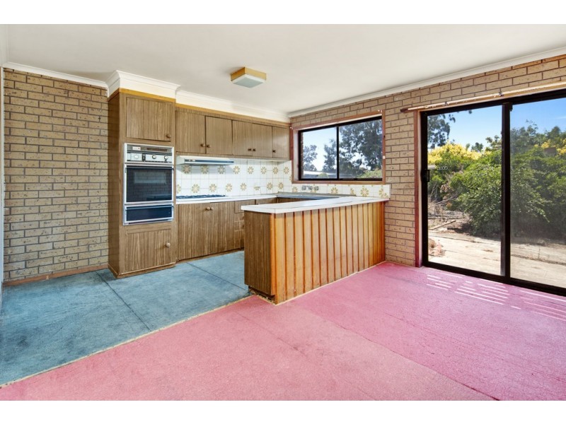 29 Young Street, Golden Point VIC 3350