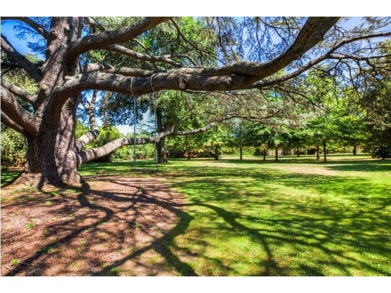 1444 Sturt Street, Lake Wendouree VIC 3350