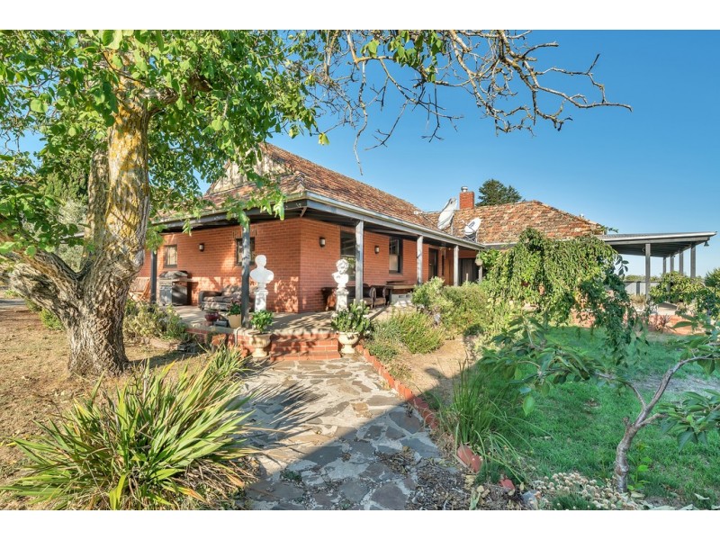 77 Griffins Road, Coghills Creek VIC 3364