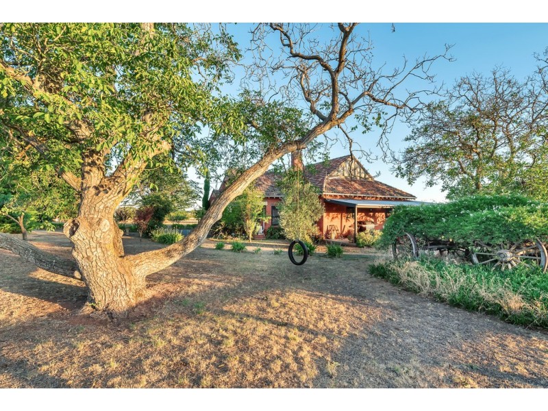 77 Griffins Road, Coghills Creek VIC 3364