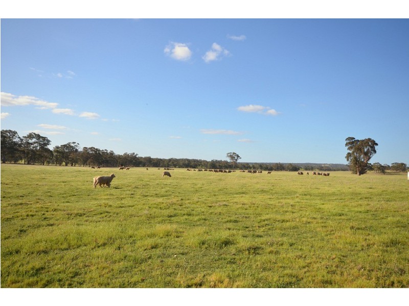 Peacocks Road, Natte Yallock VIC 3465
