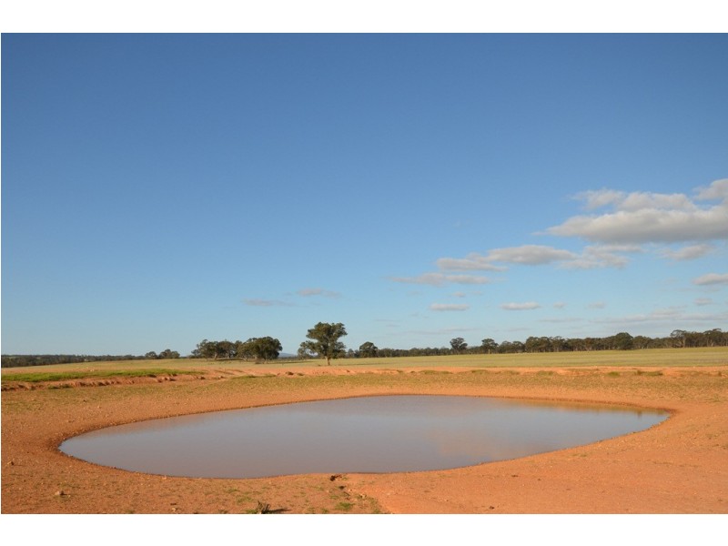 Peacocks Road, Natte Yallock VIC 3465