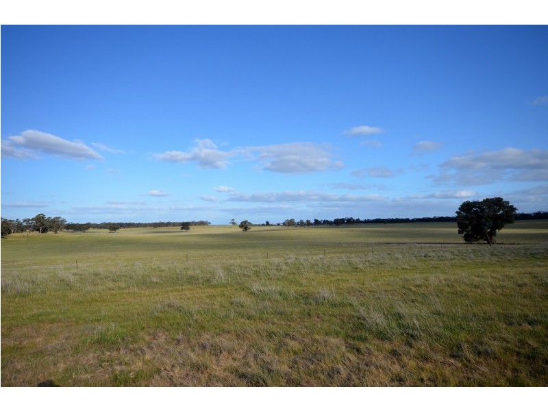 Peacocks Road, Natte Yallock VIC 3465