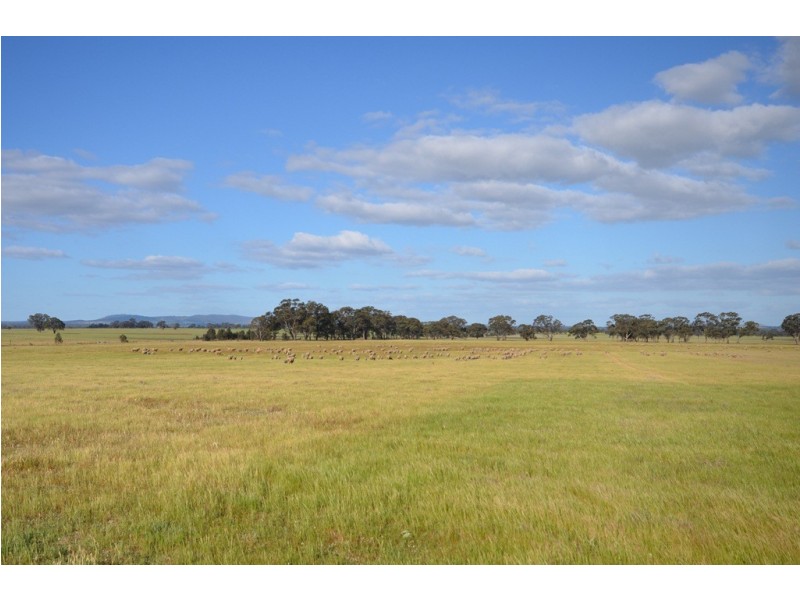 Moyreisk North Road, Natte Yallock VIC 3465