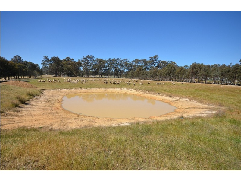 44 Gum Tree Lane, Avoca VIC 3467