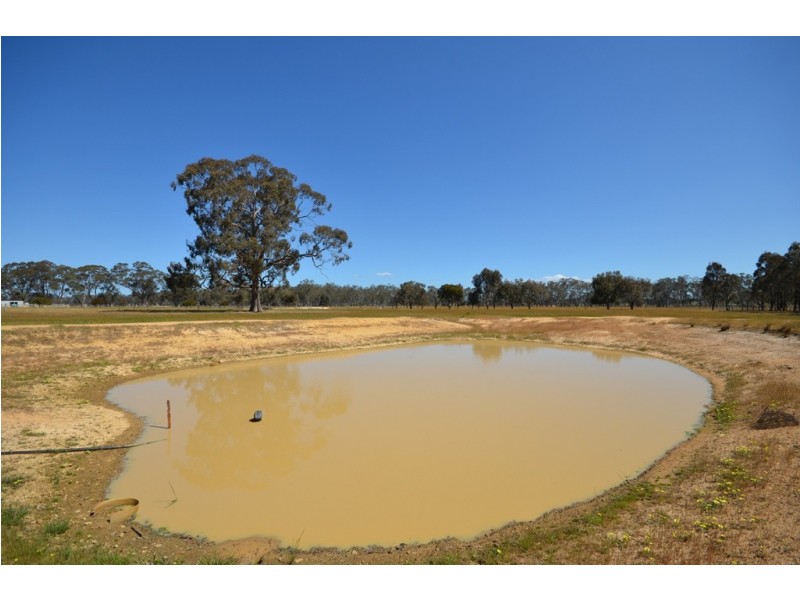 44 Gum Tree Lane, Avoca VIC 3467