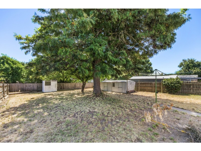 1009 Havelock Street, Ballarat North VIC 3350