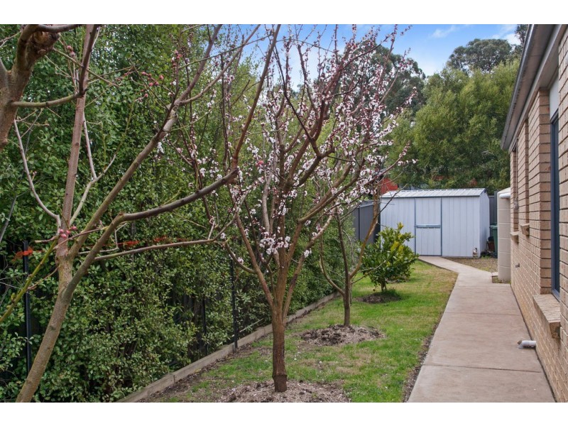 3 Mayfair Court, Mount Helen VIC 3350