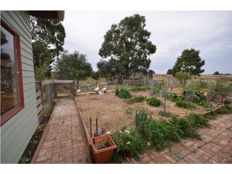 926 Linton – Carngham Road, Snake Valley VIC 3351